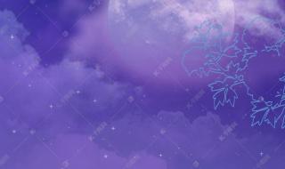 梦幻冰紫色星空少女