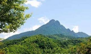 五指山漂流 五指山漂流