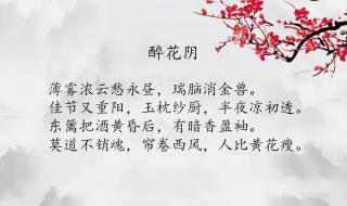 重阳诗句最好的十首