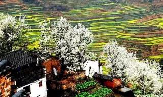 庐山二日游最佳路线